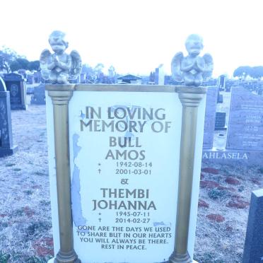 MTHANDI Bull Amos 1942-2001 &amp; Thembi Johanna 1945-2014