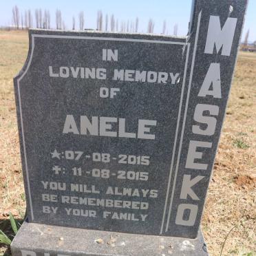 MASEKO Anele 2015-2015