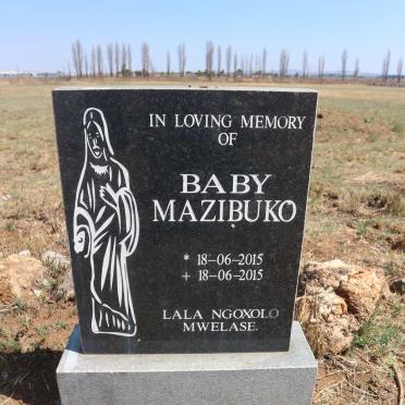 MAZIBUKO 2015-2015