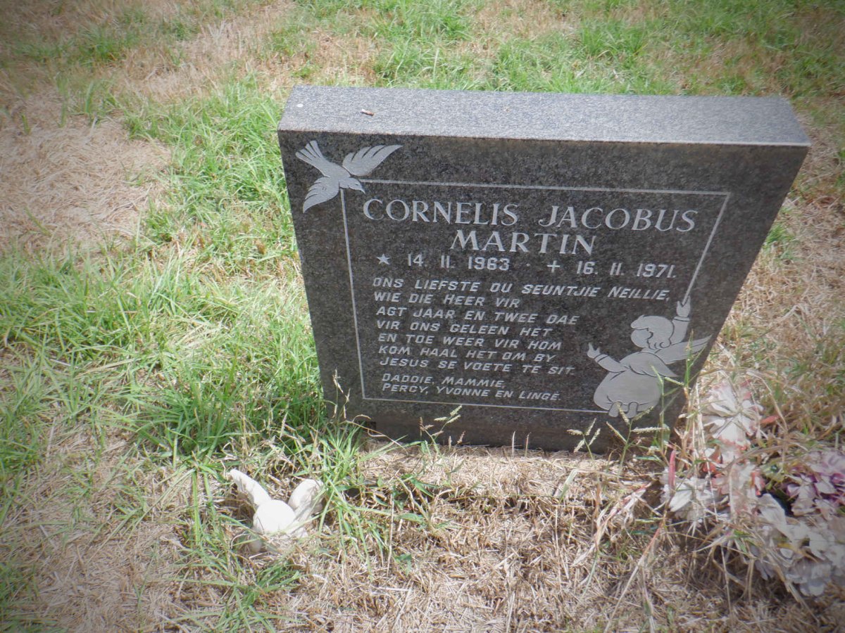 ? Cornelis Jacobus Martin 1963-1971