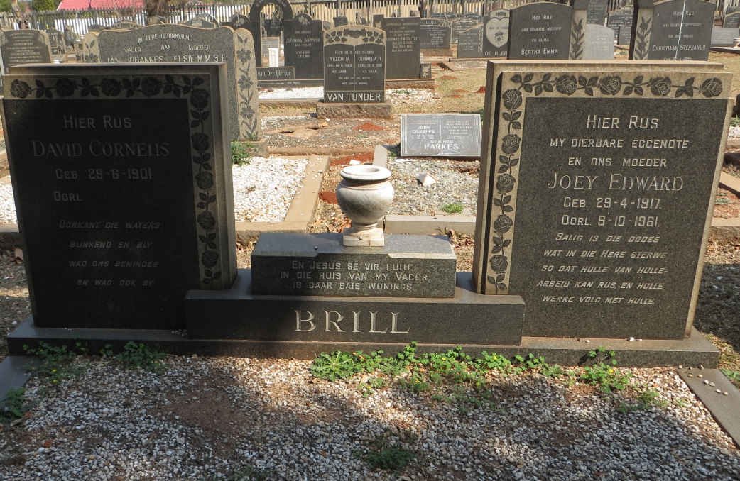 BRILL David Cornelis 1901- &amp; Joey Edward 1917-1961