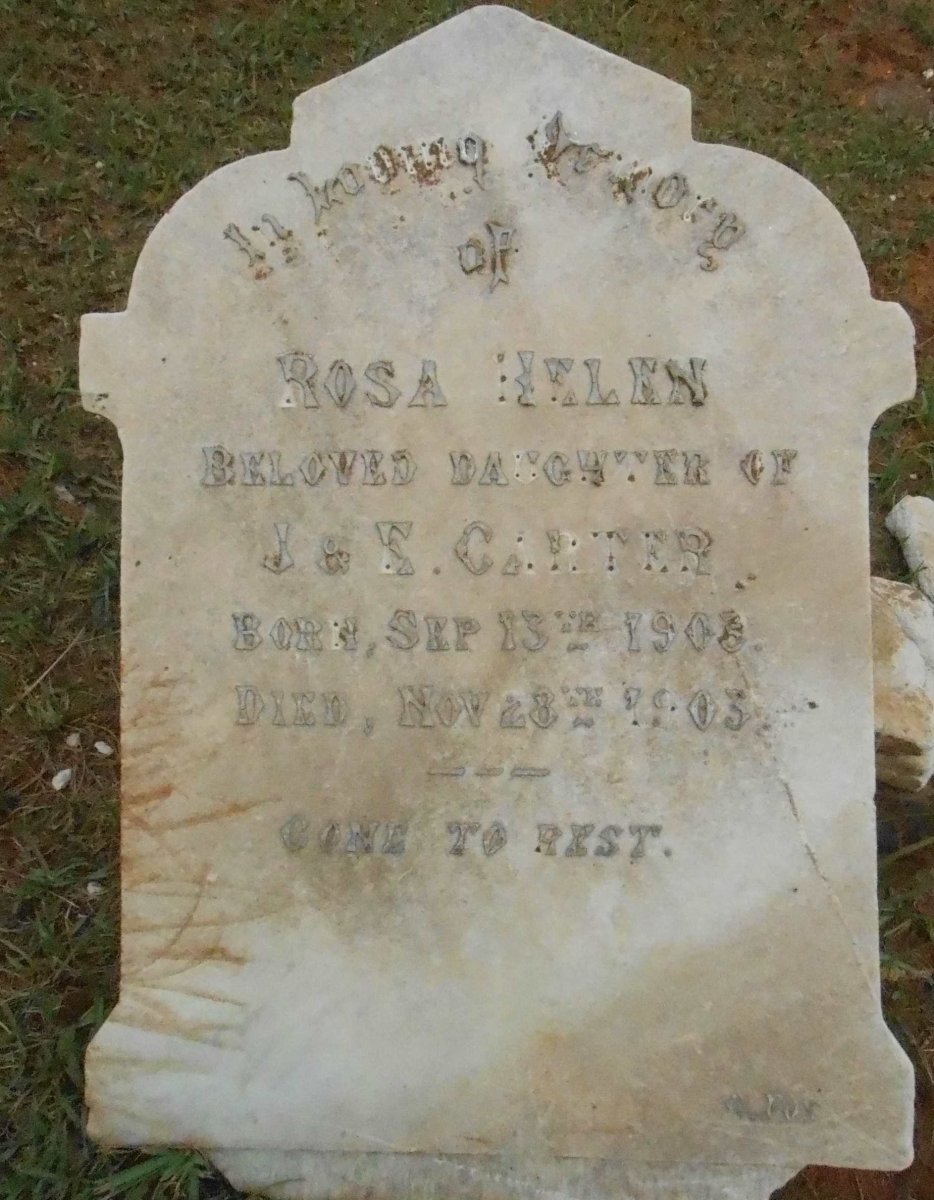 CARTER Rosa Helen 1903-1903