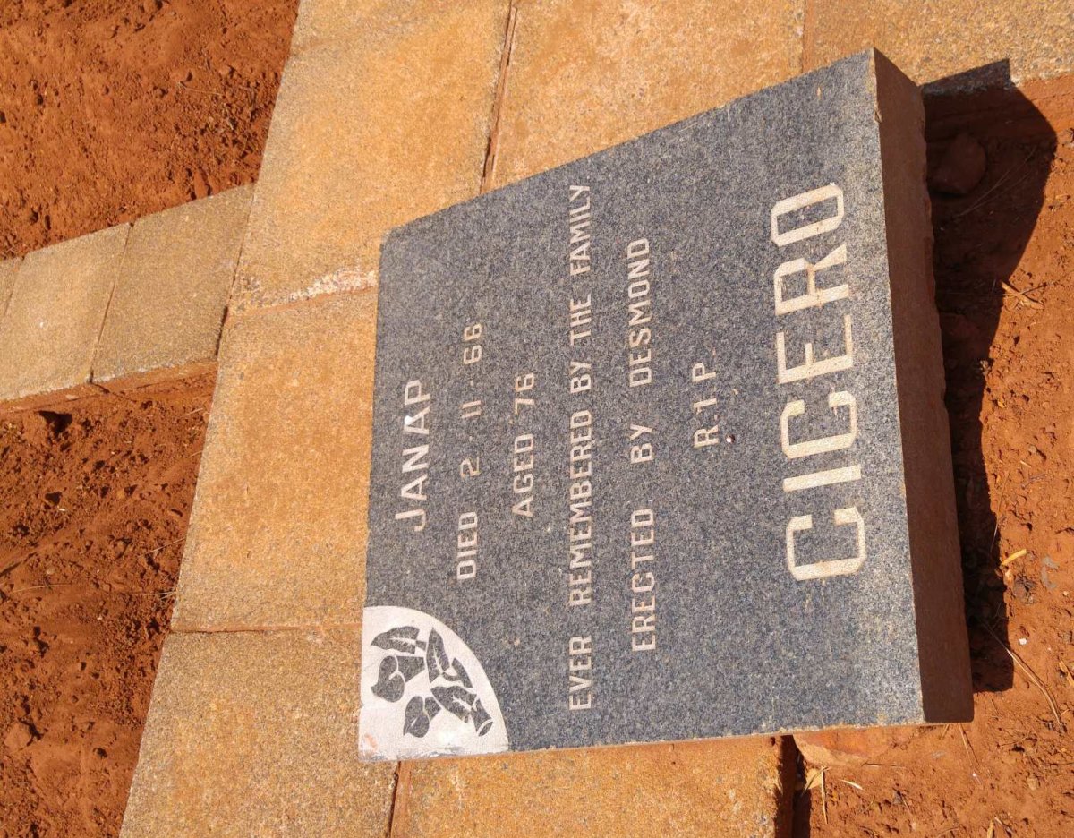CICERO Janap -1966