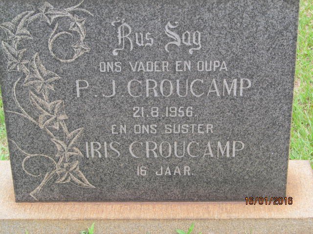 CROUCAMP P.J. -1956 :: CROUCAMP Iris