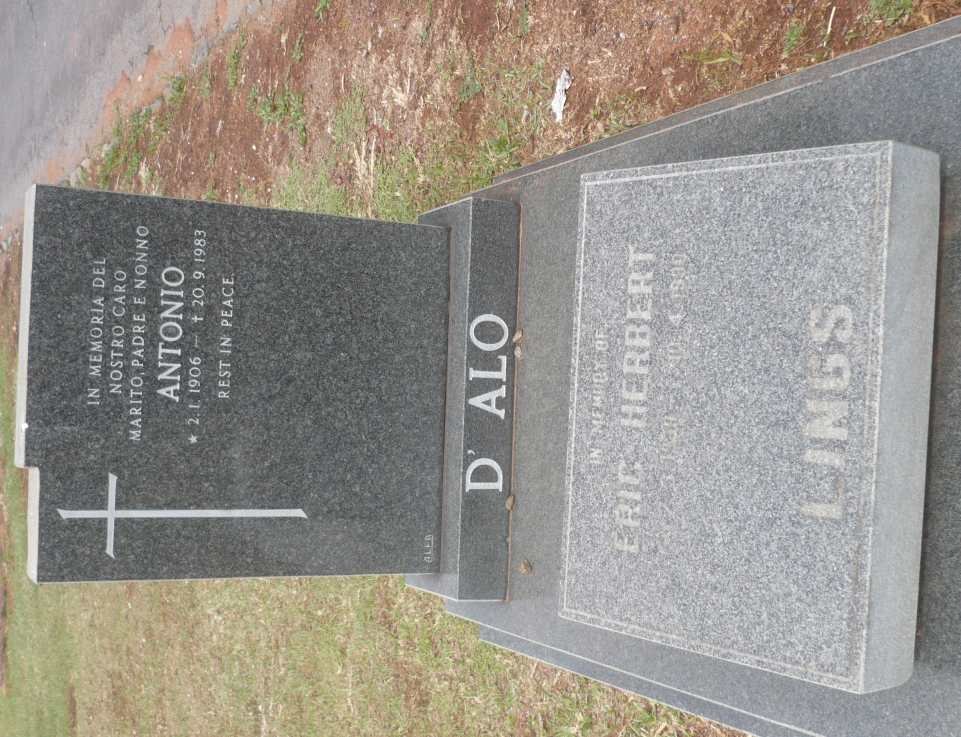 D'ALO Antonio 1906-1983 :: LINGS Eric Herbert 1939-1990