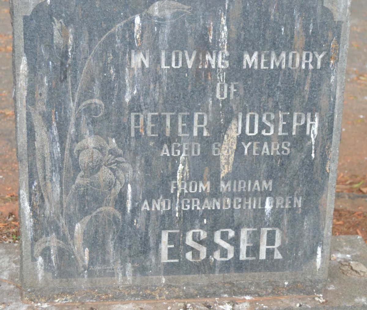 ESSER Peter Joseph