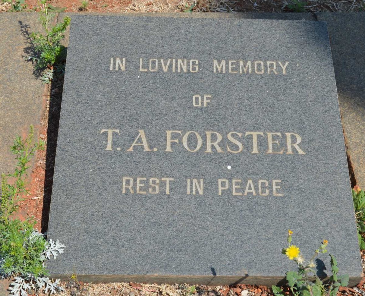 FORSTER T.A.