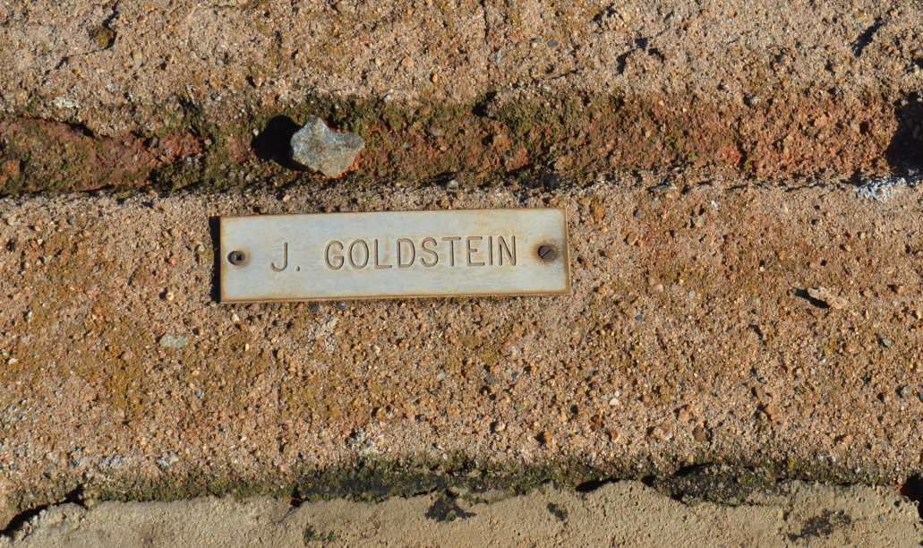 GOLDSTEIN J.