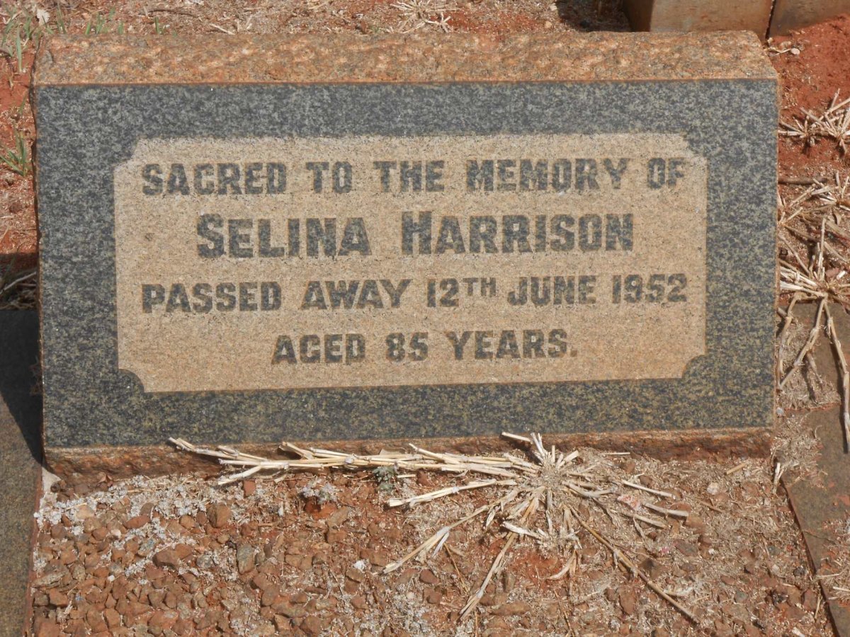 HARRISON Selina -1952