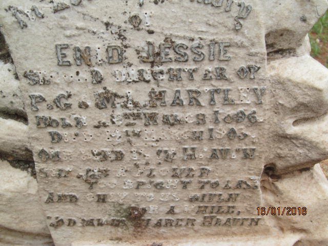 HARTLEY Enid Jessie 1896-1903