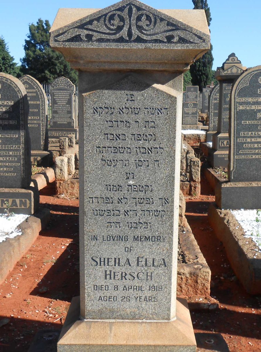 HERSCH Sheila Ella -1919