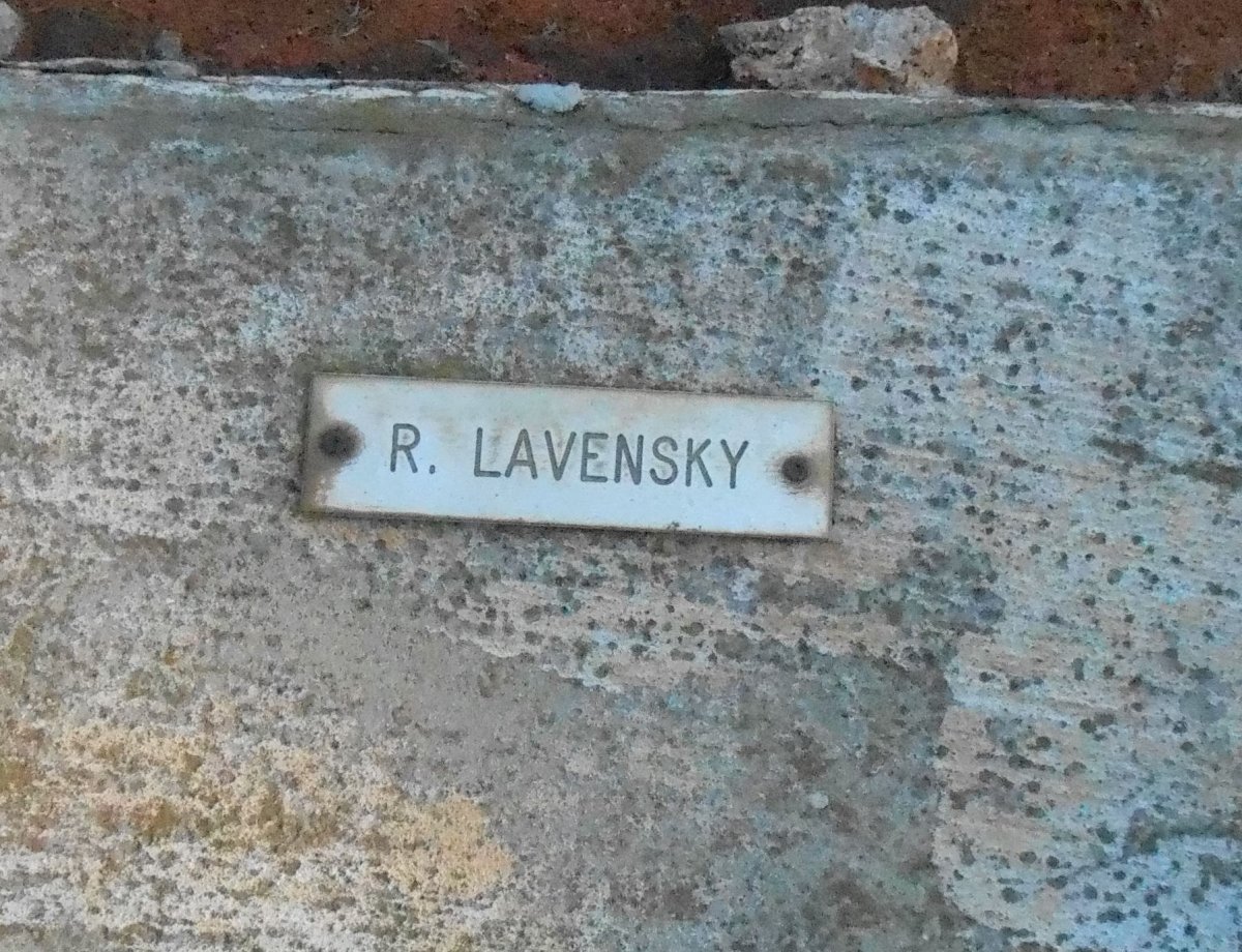 LAVENSKY R.