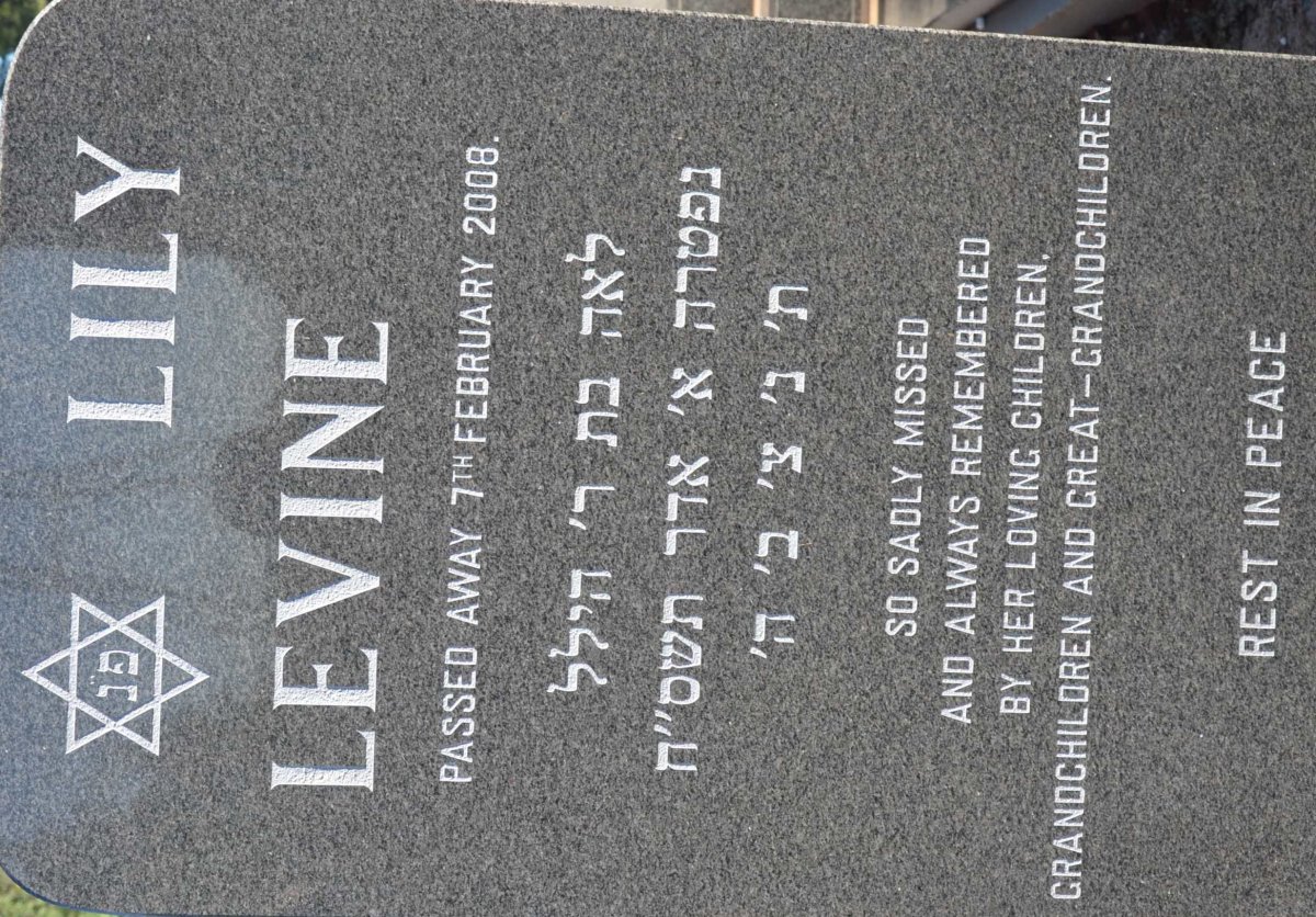 LEVINE Lily -2008