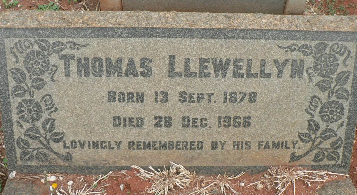 LLEWELLYN Thomas 1878-1966