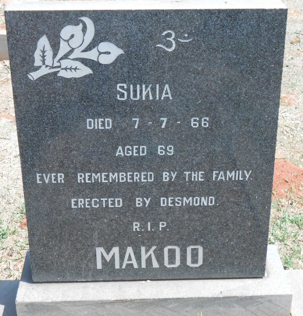 MAKOO Sukia -1966