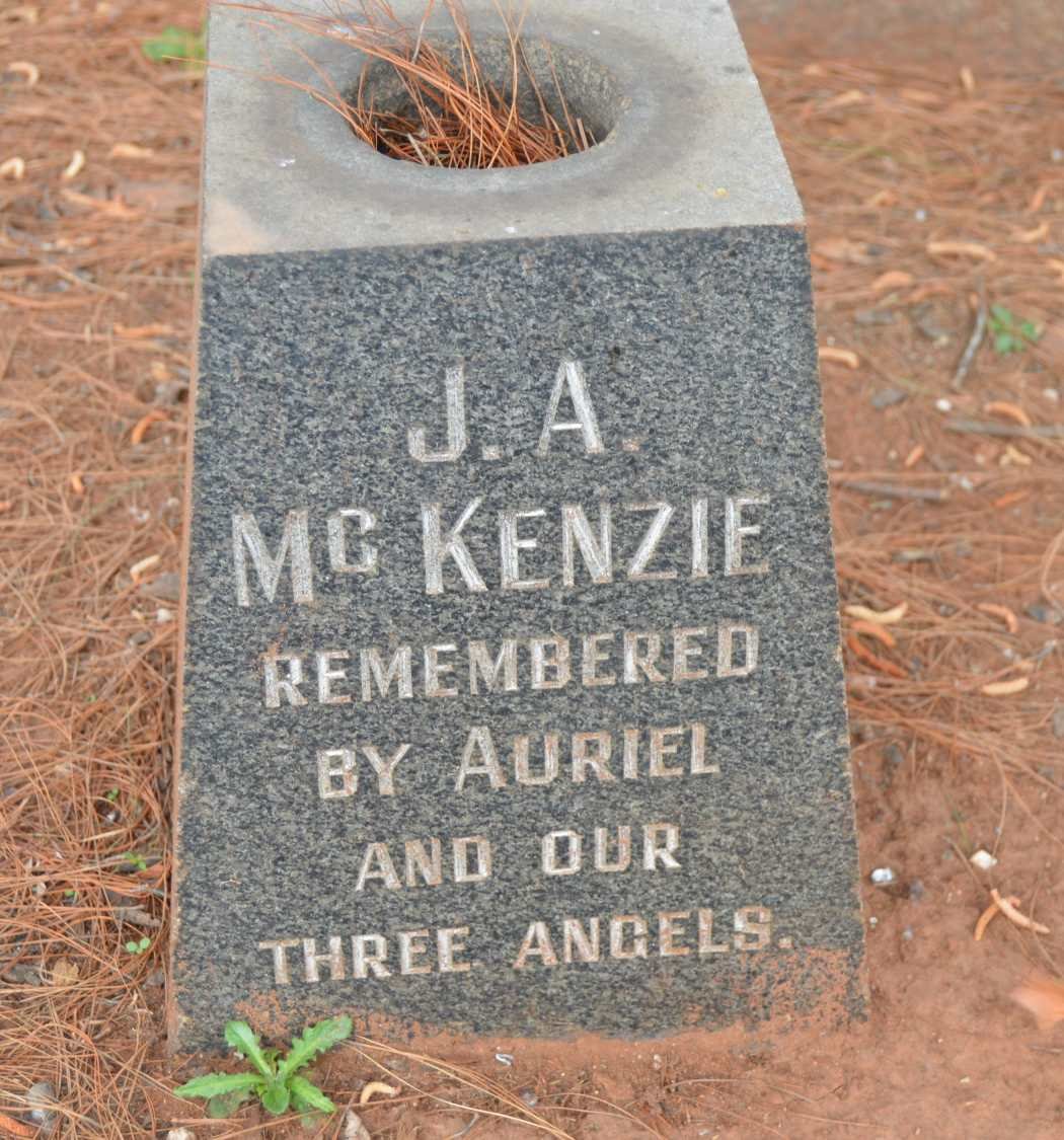 McKENZIE J.A.
