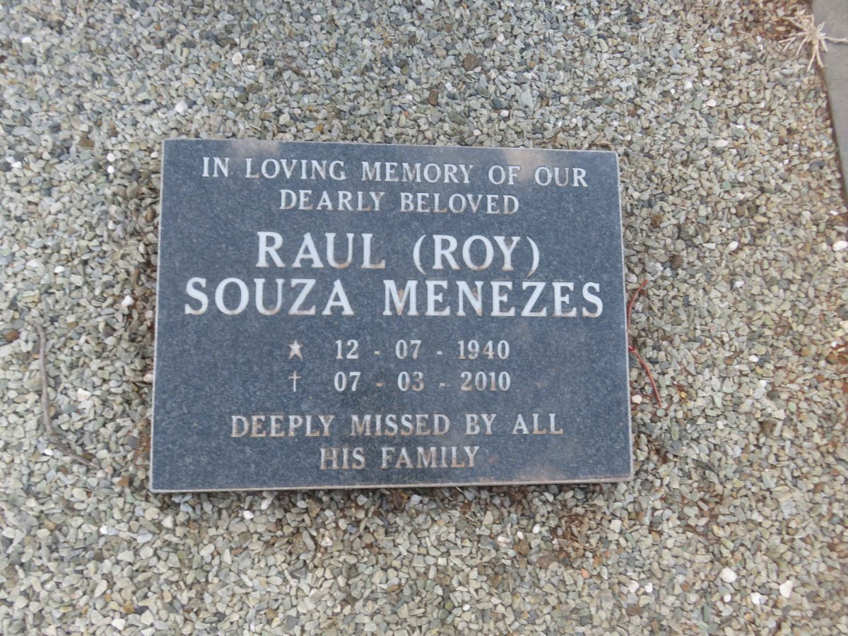 MENEZES Raul Souza 1940-2010