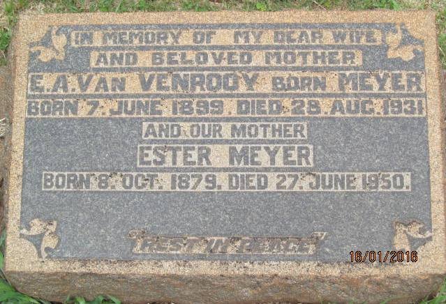 MEYER Esther 1879-1950 :: VAN VENROOY E.A. nee MEYER 1899-1931
