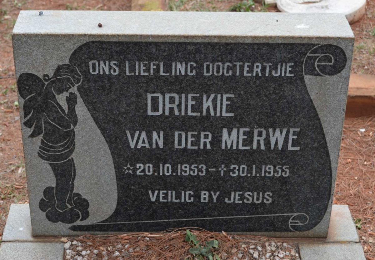 MERWE Driekie, van der 1953-1955