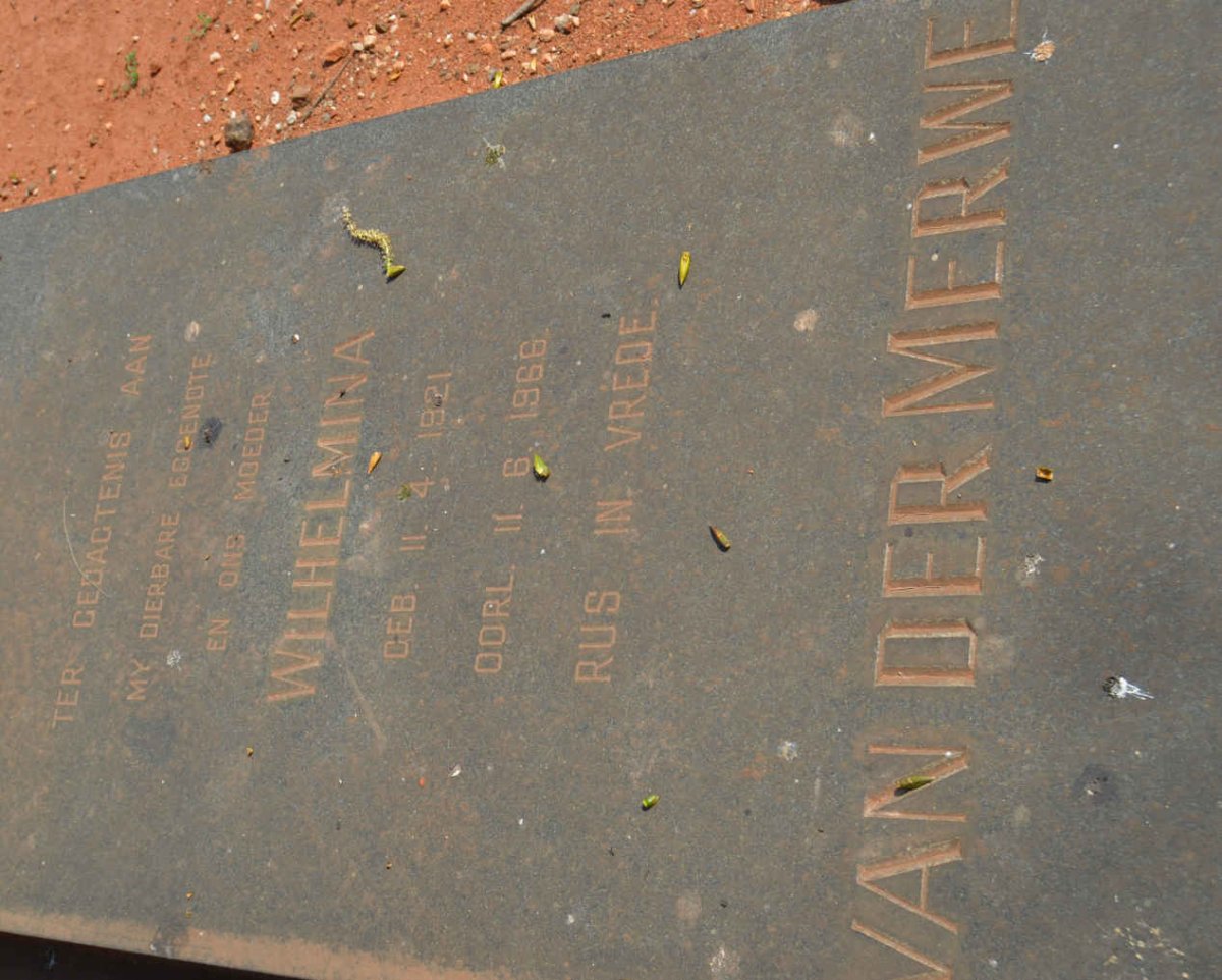 MERWE Wilhelmina, van der 1921-1966