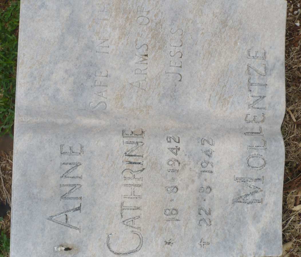 MOLLENTZE Anne Cathrine 1942-1942