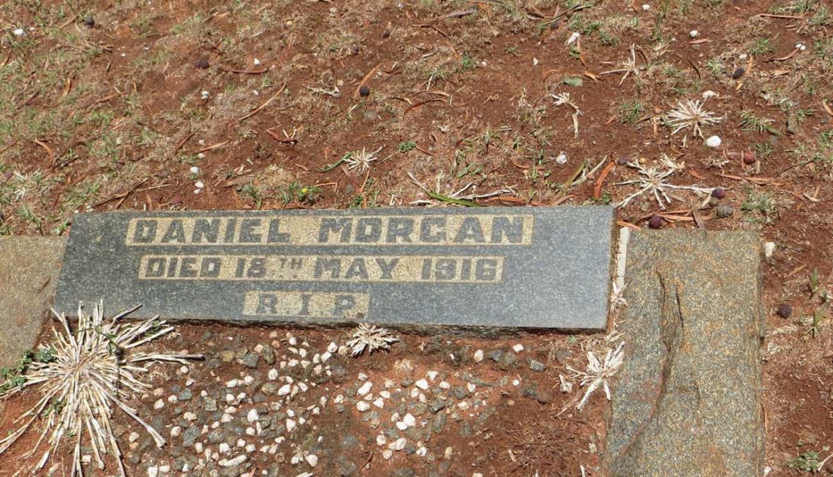 MORGAN Daniel -1916
