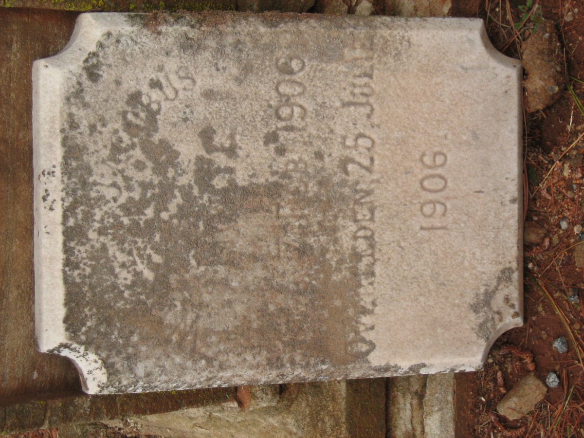 NOLTE Willem Jacobus 1906-1906