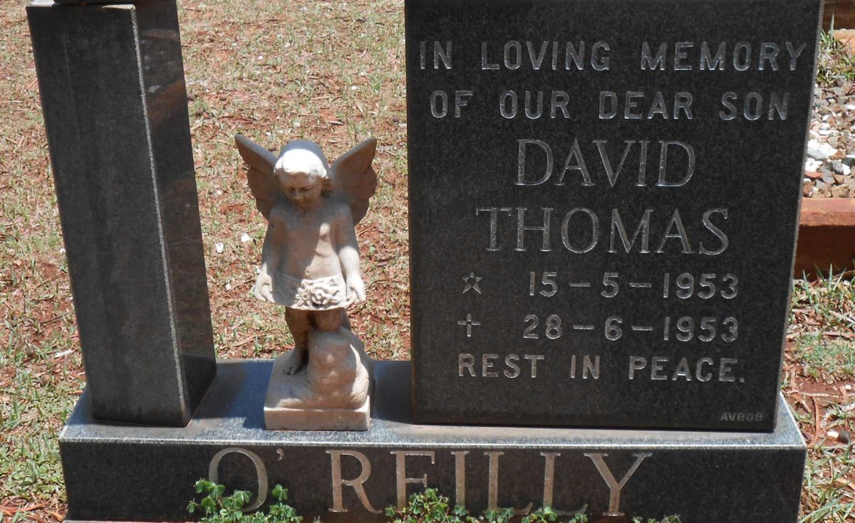 O'REILLY David Thomas 1953-1953