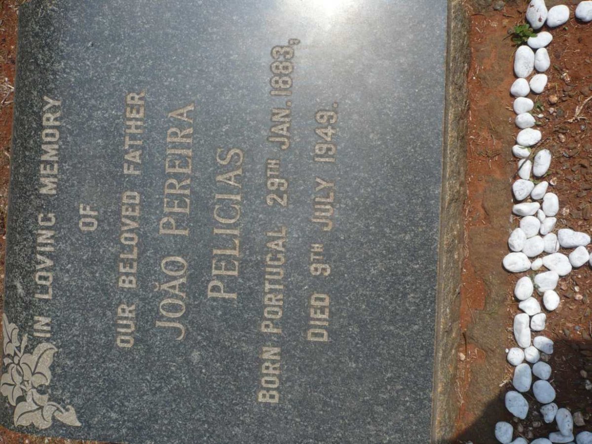 PELICIAS João Perreira 1883-1949