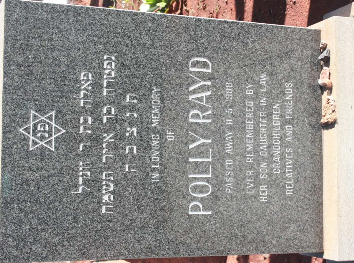 RAYD Polly -1988