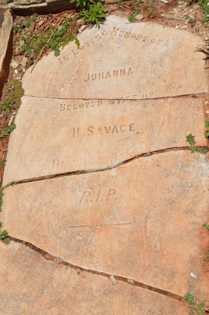 SAVAGE Johanna -1908