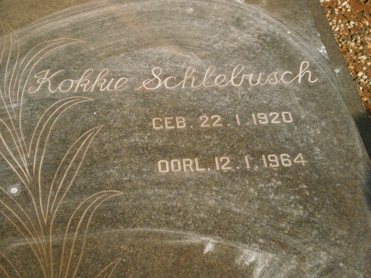 SCHLEBUSCH Kokkie 1920-1964