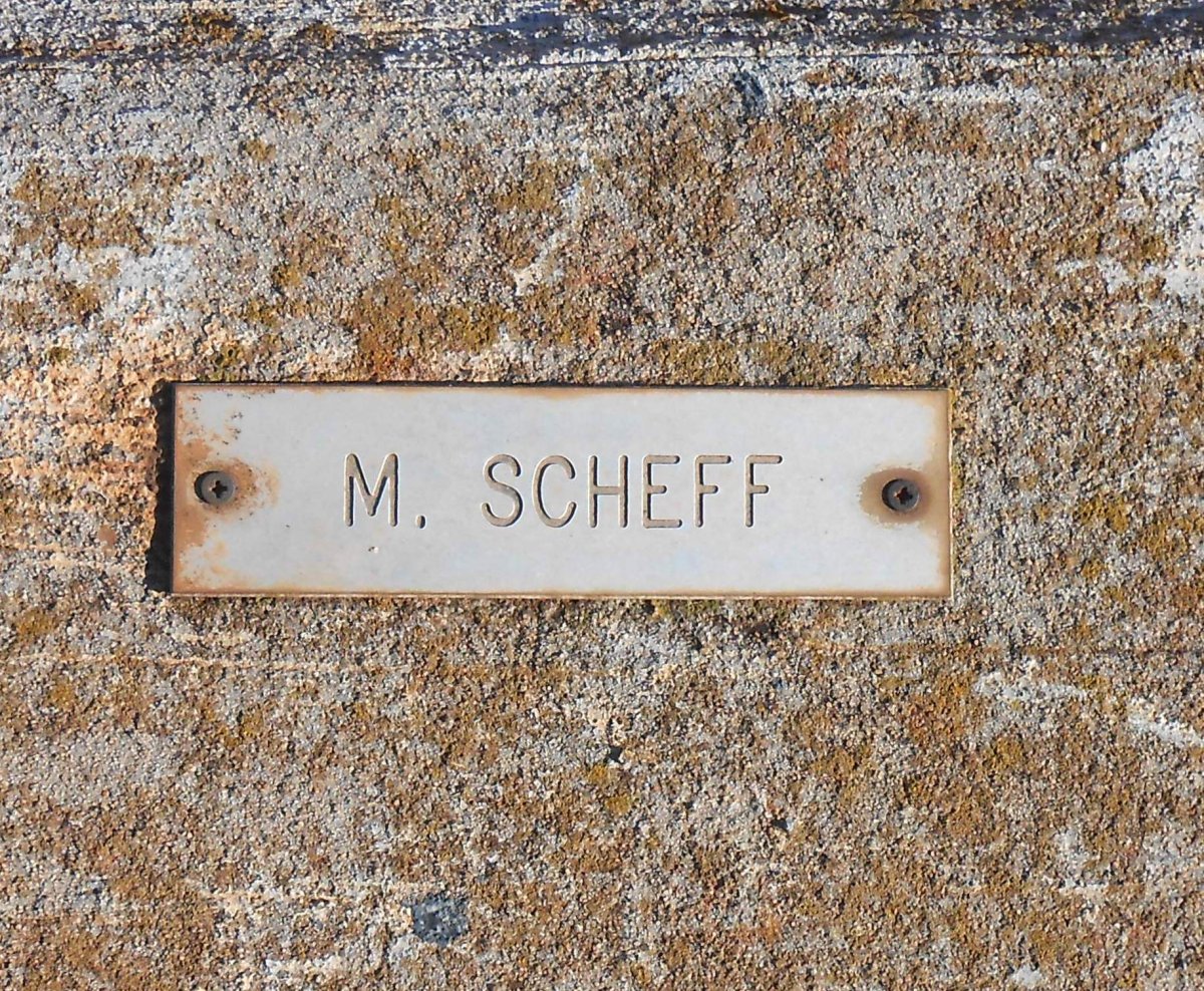 SCHEFF M.