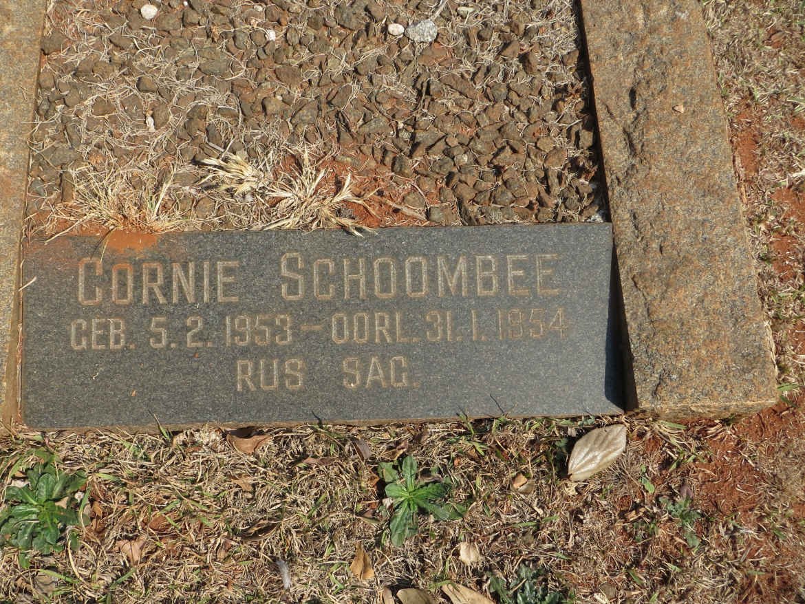 SCHOOMBEE Cornie 1953-1954