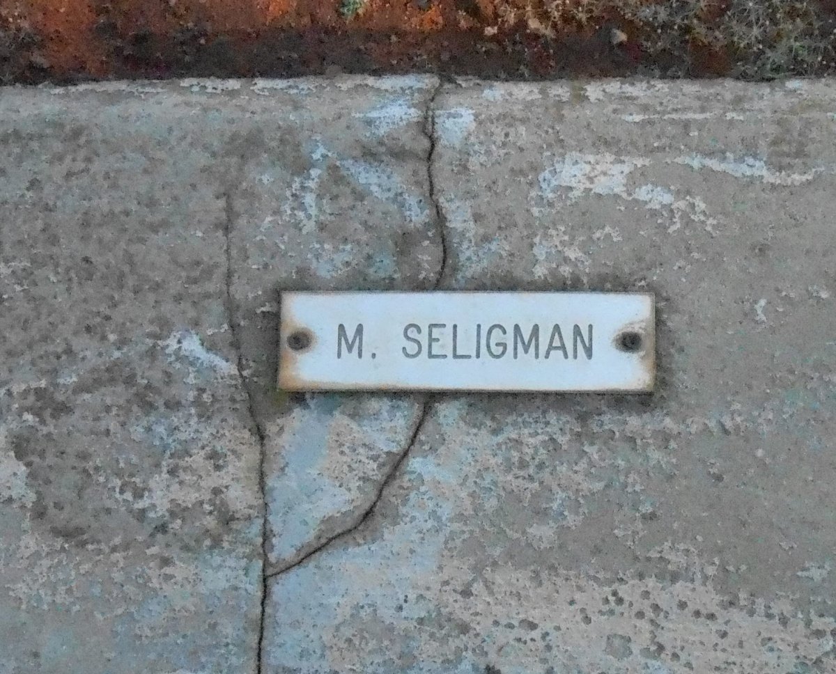 SELIGMAN M.