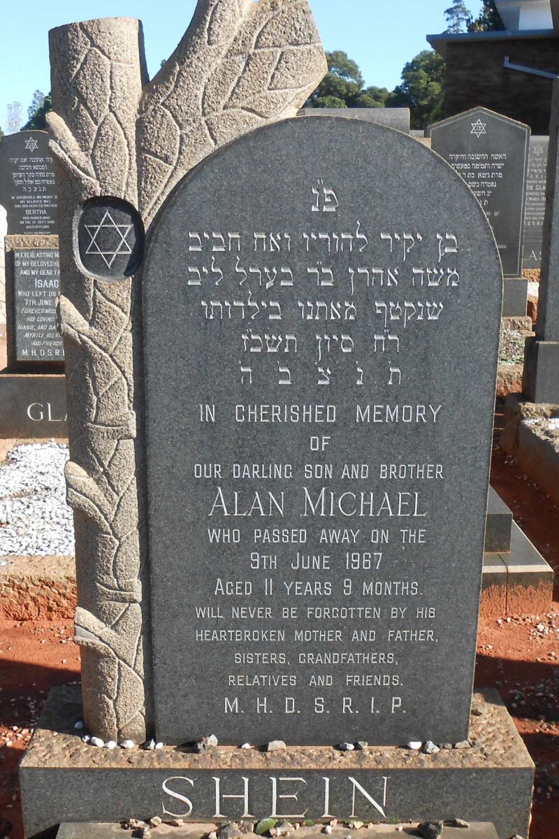 SHEIN Alan Michael -1967