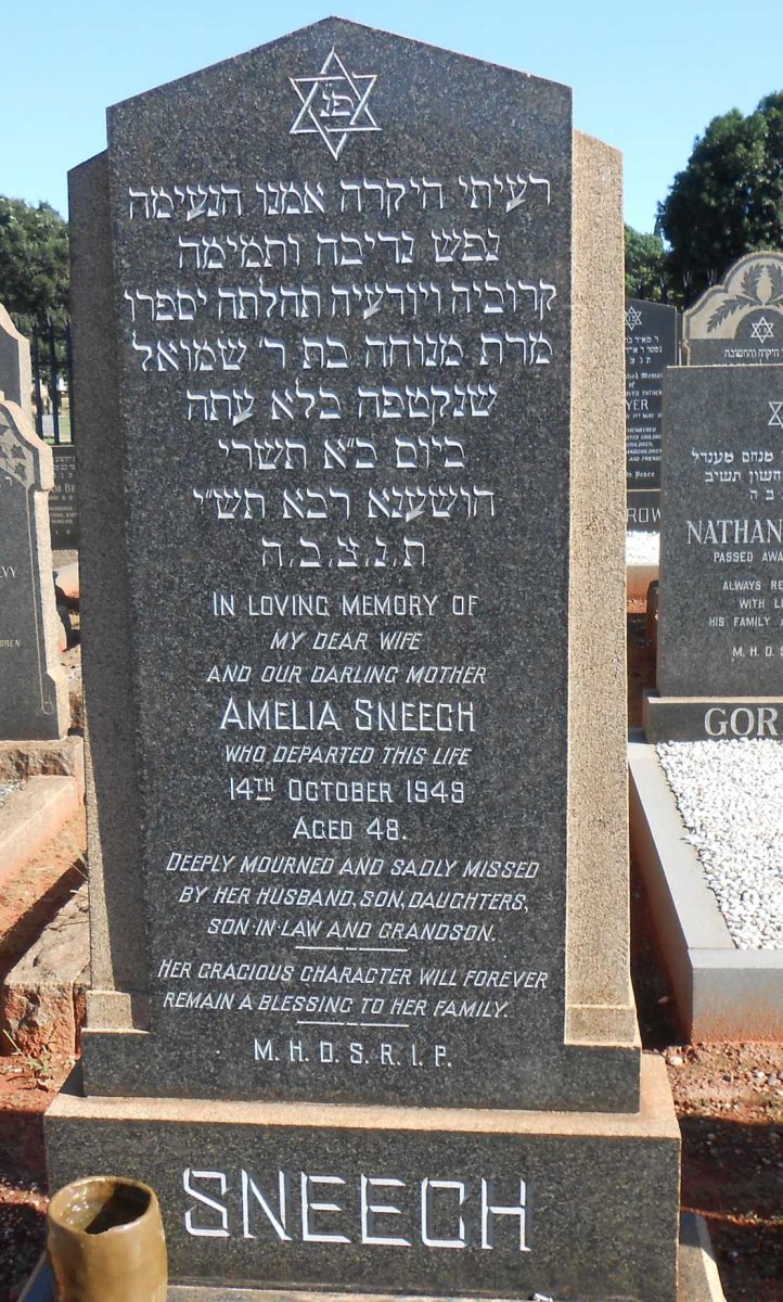 SNEECH Amelia -1949