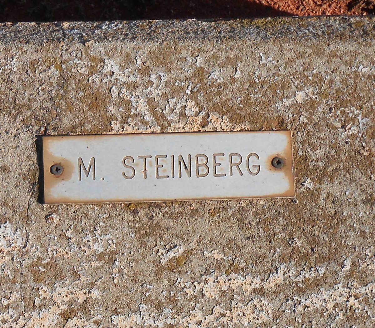 STEINBERG M.