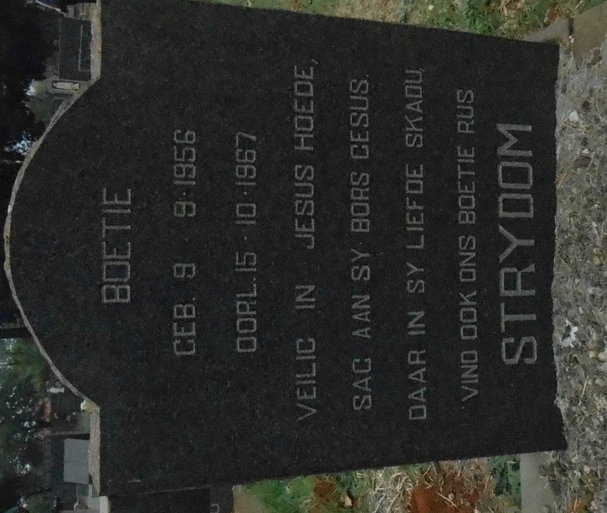 STRYDOM Boetie 1956-1967