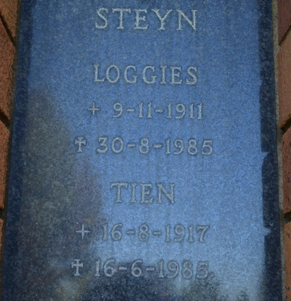 STEYN Loggies 1911-1985 &amp; Tien 1917-1985