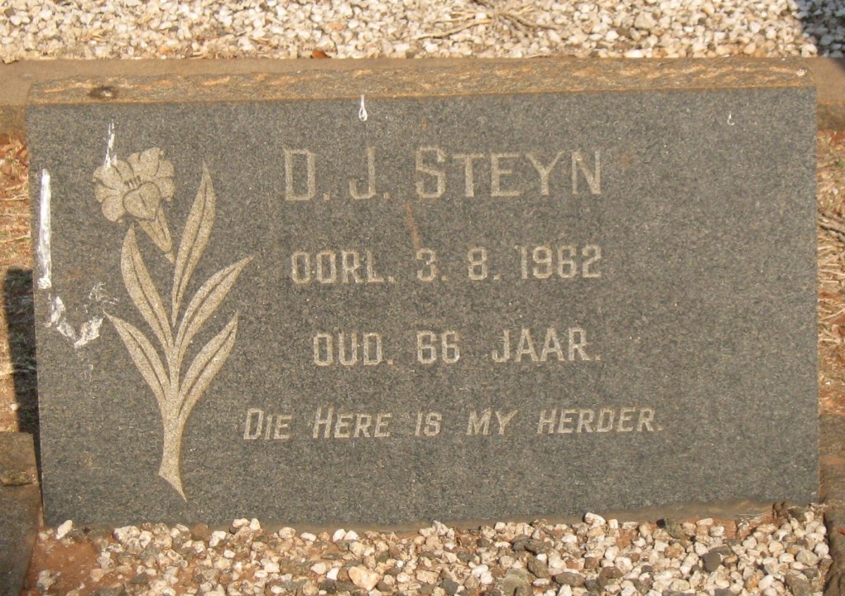 STEYN D.J. -1962