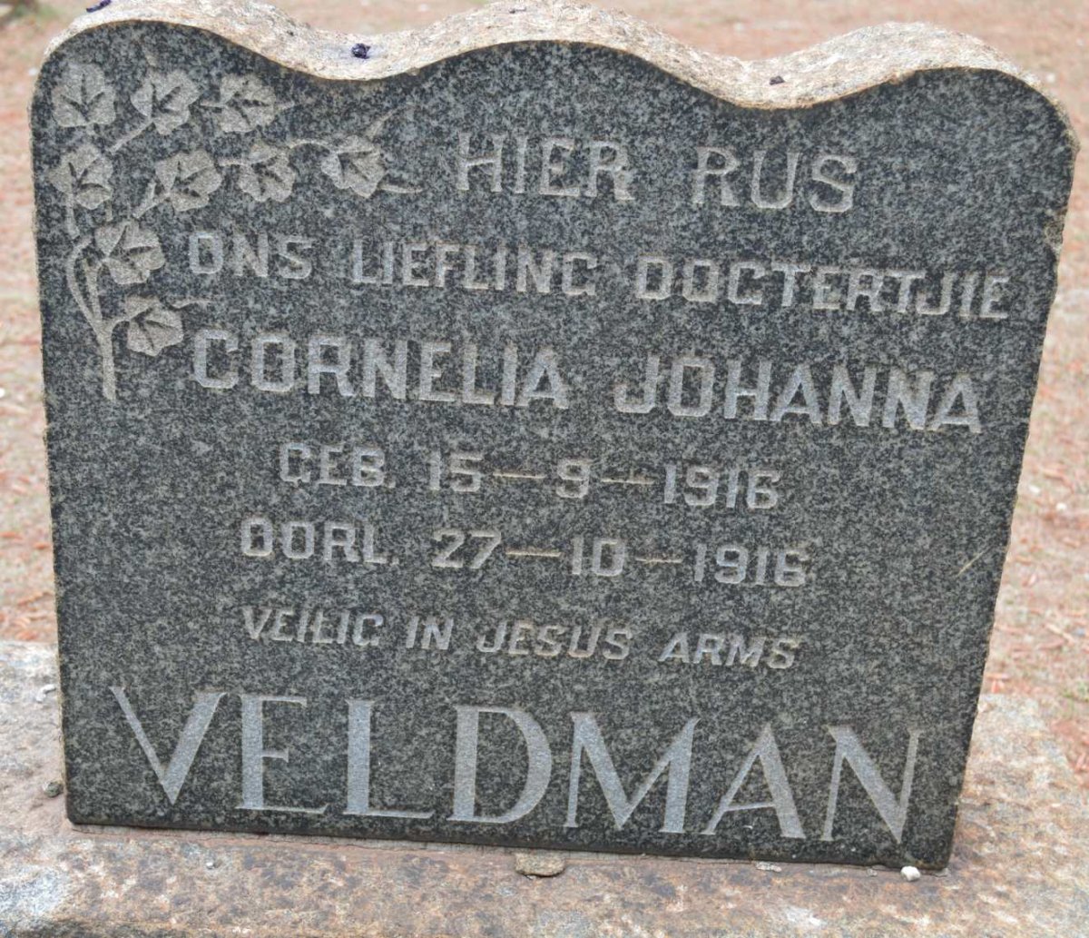 VELDMAN Cornelia Johanna 1916-1916