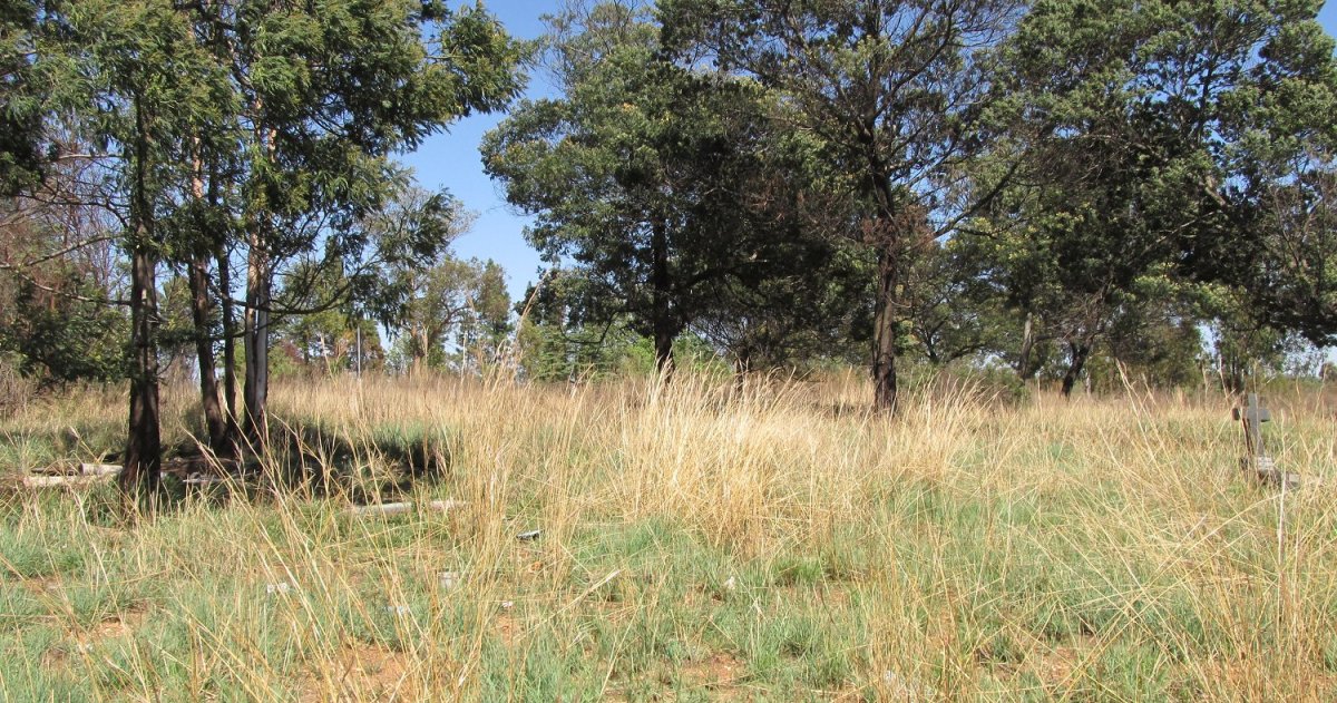 2.Overview
