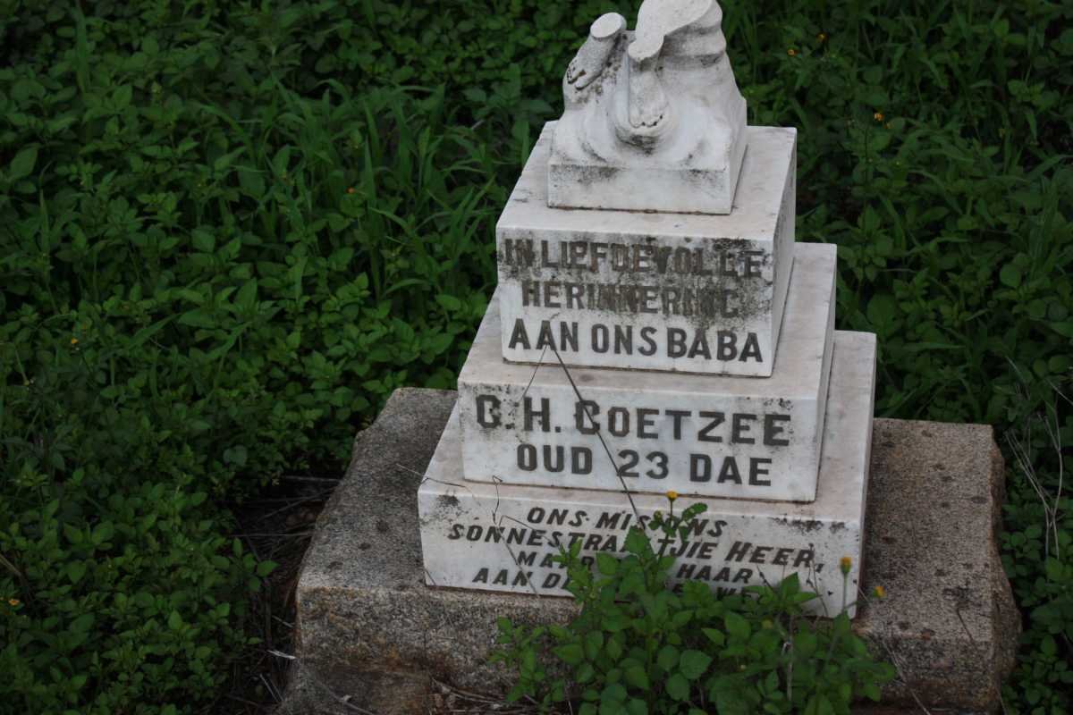 COETZEE G.H.