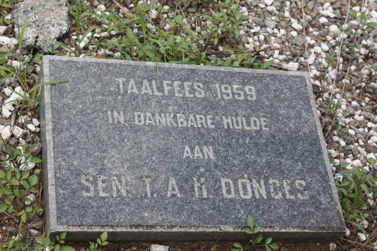 DÖNGES Theodor Amadeus Heinrich 1869-1951 &amp; Sara Salomina VAN HUYSSTEEN 1874-1971