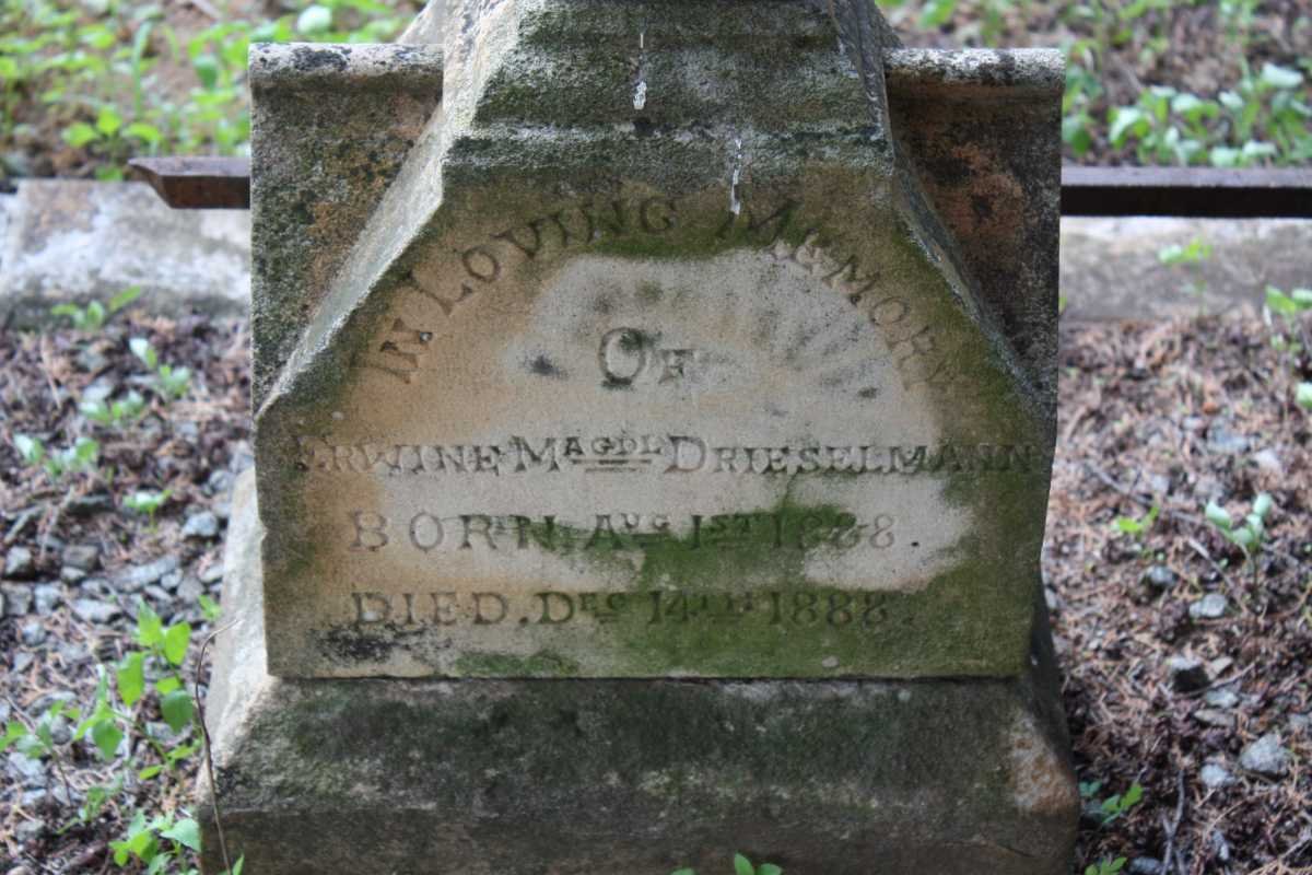 DRIESELMANN Erwine Magdl 1888-1888