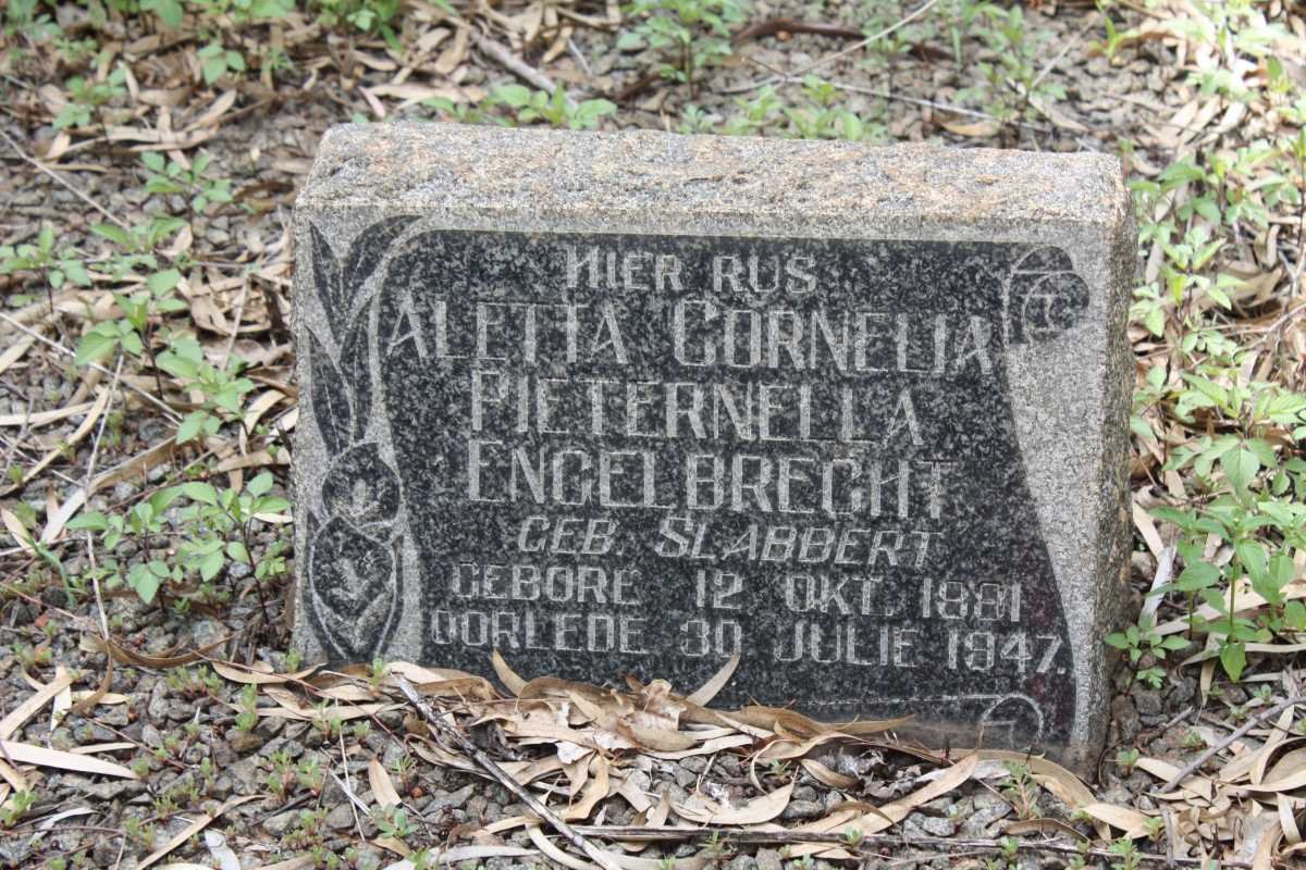 ENGELBRECT Johannes Petrus 1870-1956 &amp; Anna Maria Jacoba VILJOEN 1871-1929