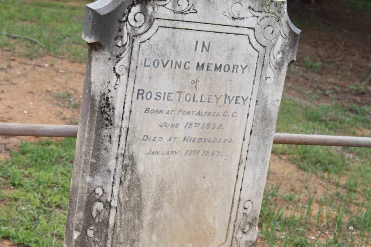 IVEY Rosie Tolley 1882-1883
