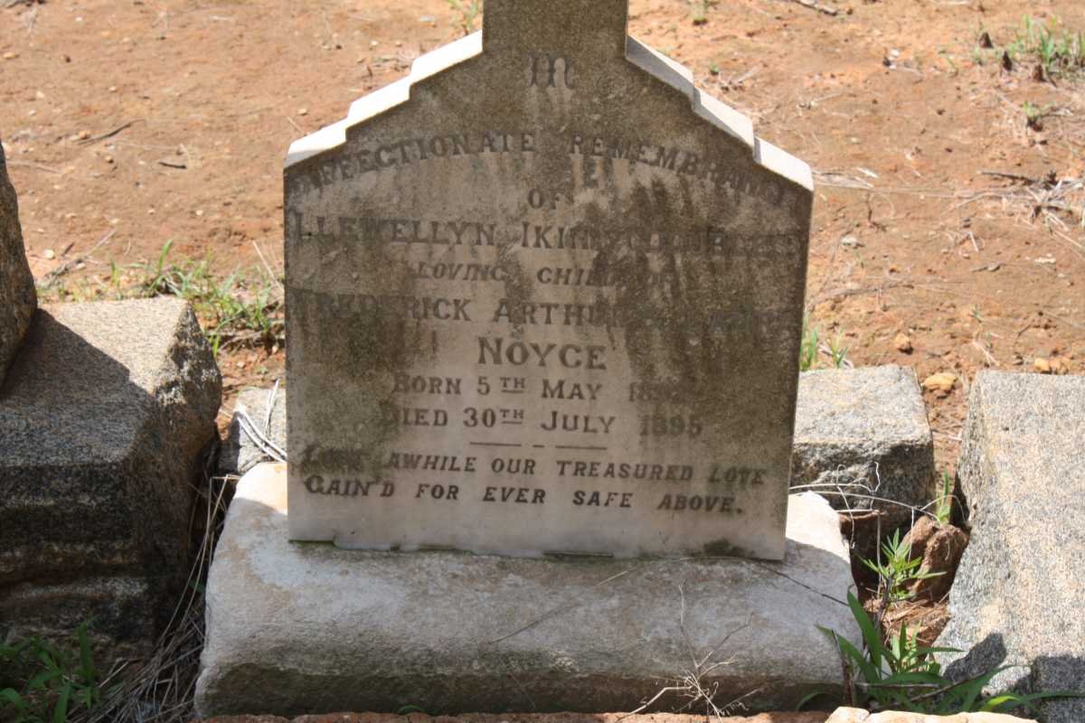 NOYCE Llewellyn 18??-1895