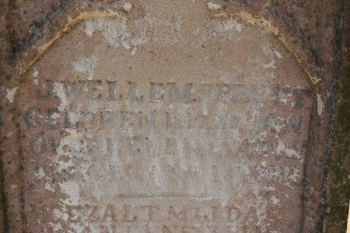 SPRUYT J. Wellem 